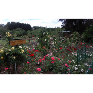 Eingang Rosengarten